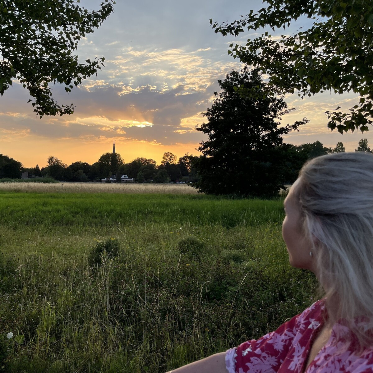 Groenbeheer Katja en Vleuten op de achtergrond bij gouden lucht