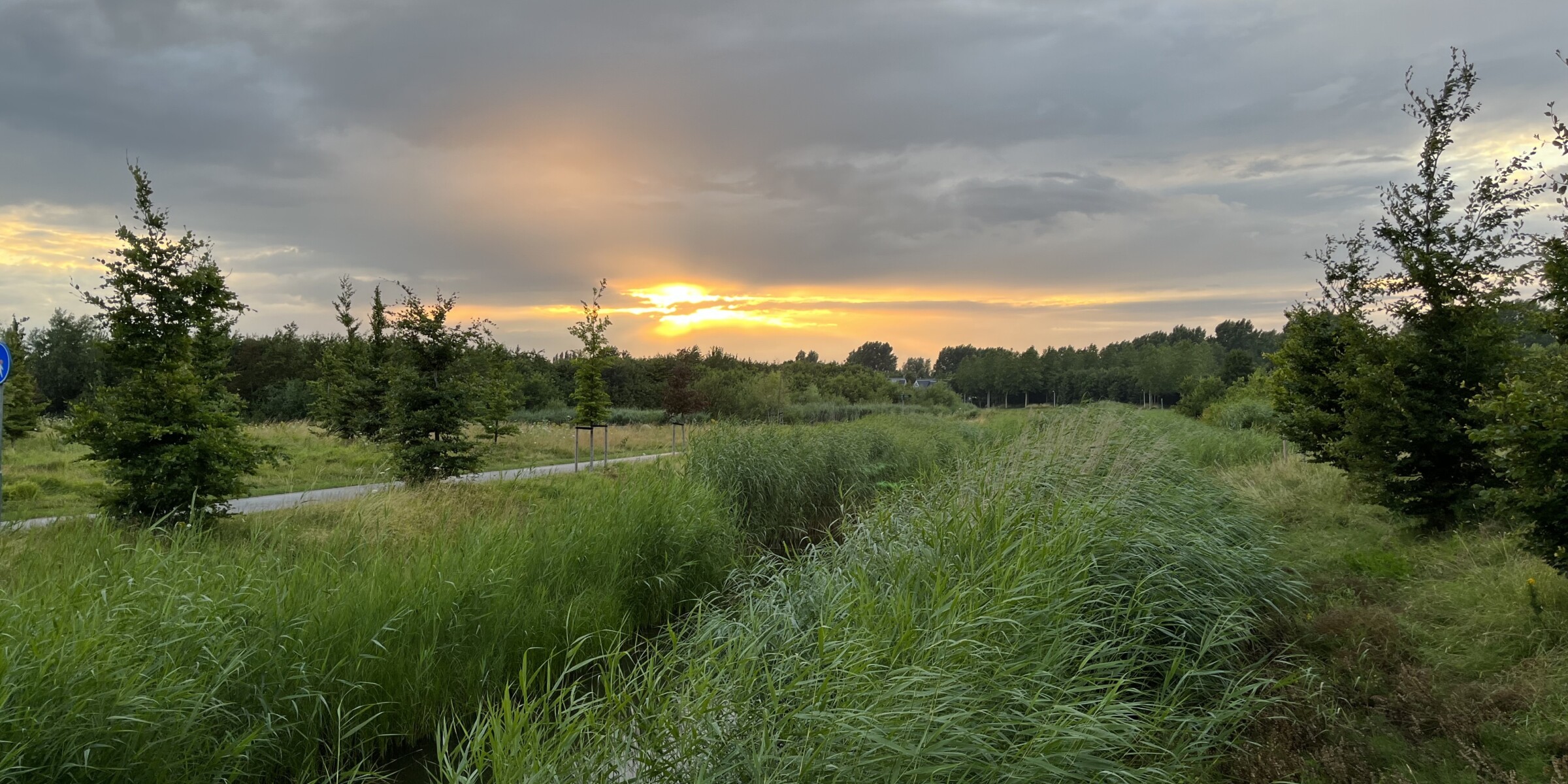 Diensten Marktleider beheer Maximapark met ondergaande zon en wiegend groot gras