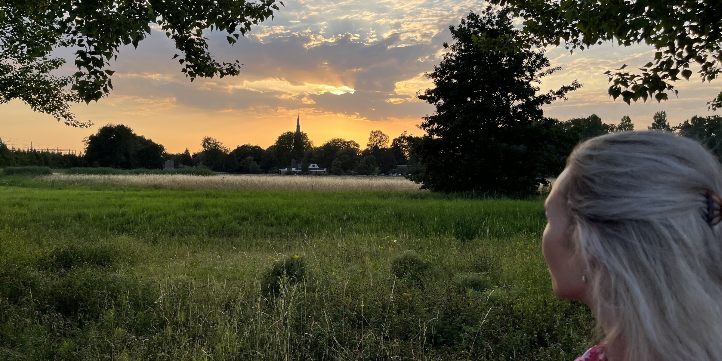 Groenbeheer Katja en Vleuten op de achtergrond bij gouden lucht